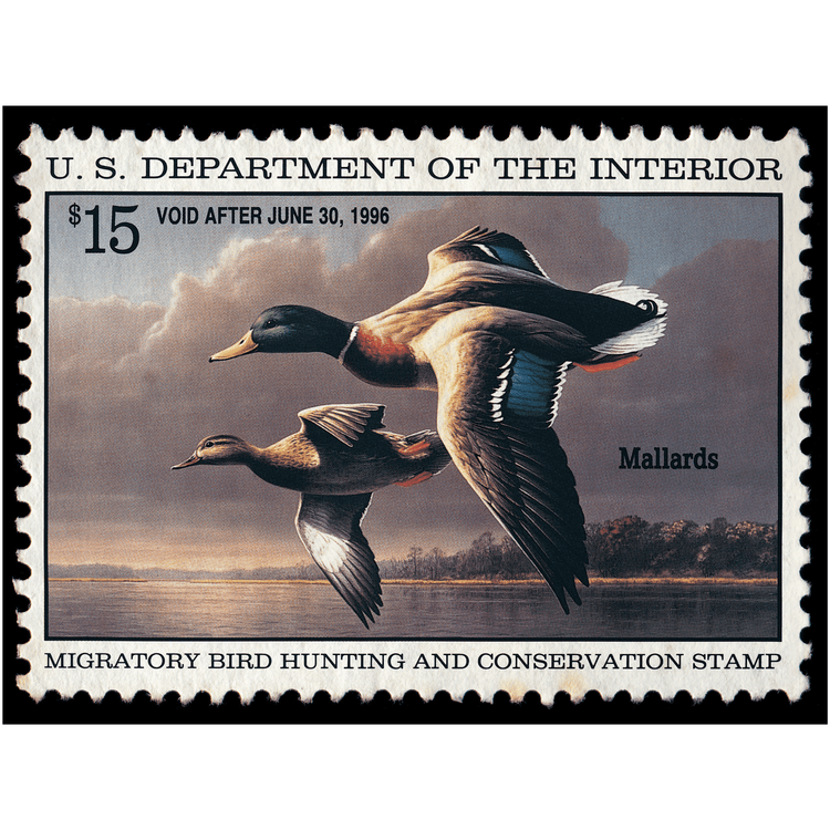 Official 1995 - 1996 Federal Duck Stamp-Metal Sign